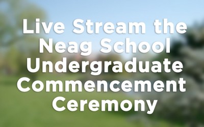 Live Stream