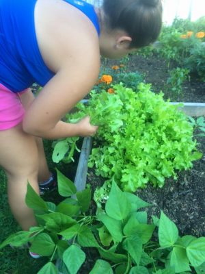 Kelsey Karp at Spring Valley Student Farm at UConn; now earning Teacher Certification through TCPCG