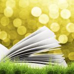 iStock photo; summer book; reading