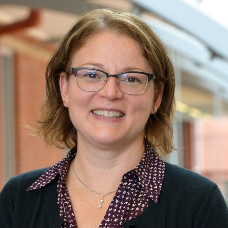 Board of Trustees Distinguished Professor Sandra Chafouleas.