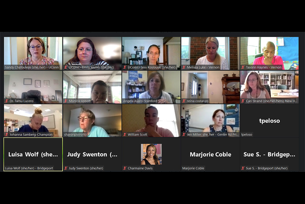 Screenshot of SEB Leader Academy participants attending the August virtual session.