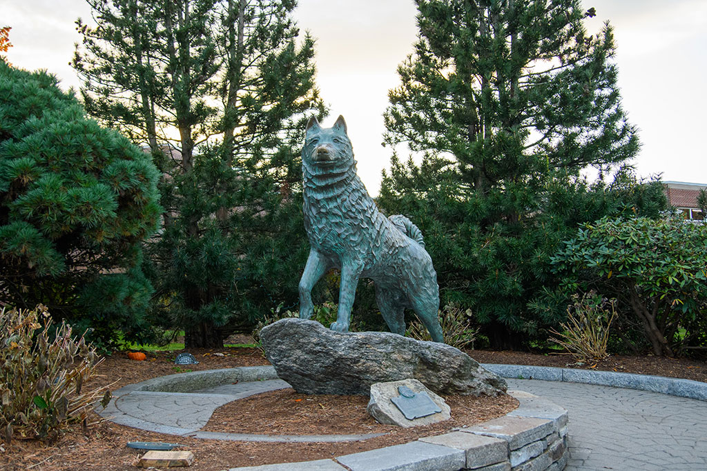 UConn husky statue. [Email the Journal.]