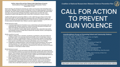 Report "Call for Action to Prevent Gun Violence"